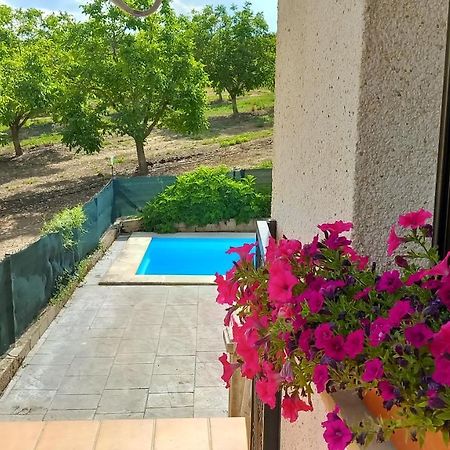 Casa Apartamento En Riezu Mapi Etxea Εξωτερικό φωτογραφία