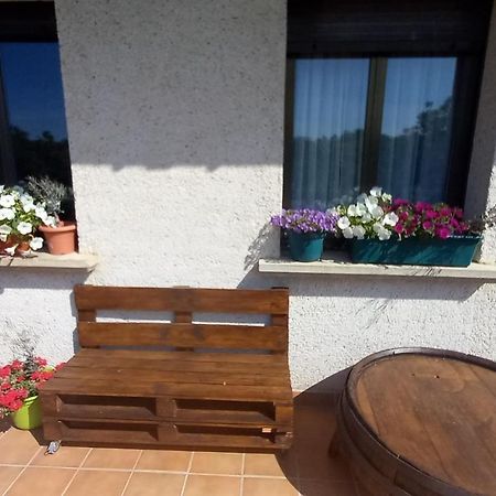 Casa Apartamento En Riezu Mapi Etxea Εξωτερικό φωτογραφία