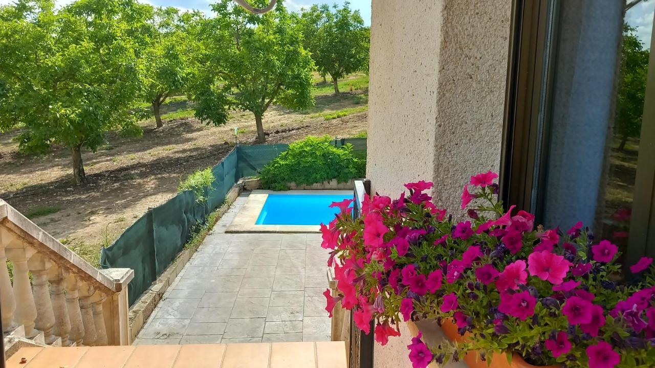 Casa Apartamento En Riezu Mapi Etxea Εξωτερικό φωτογραφία